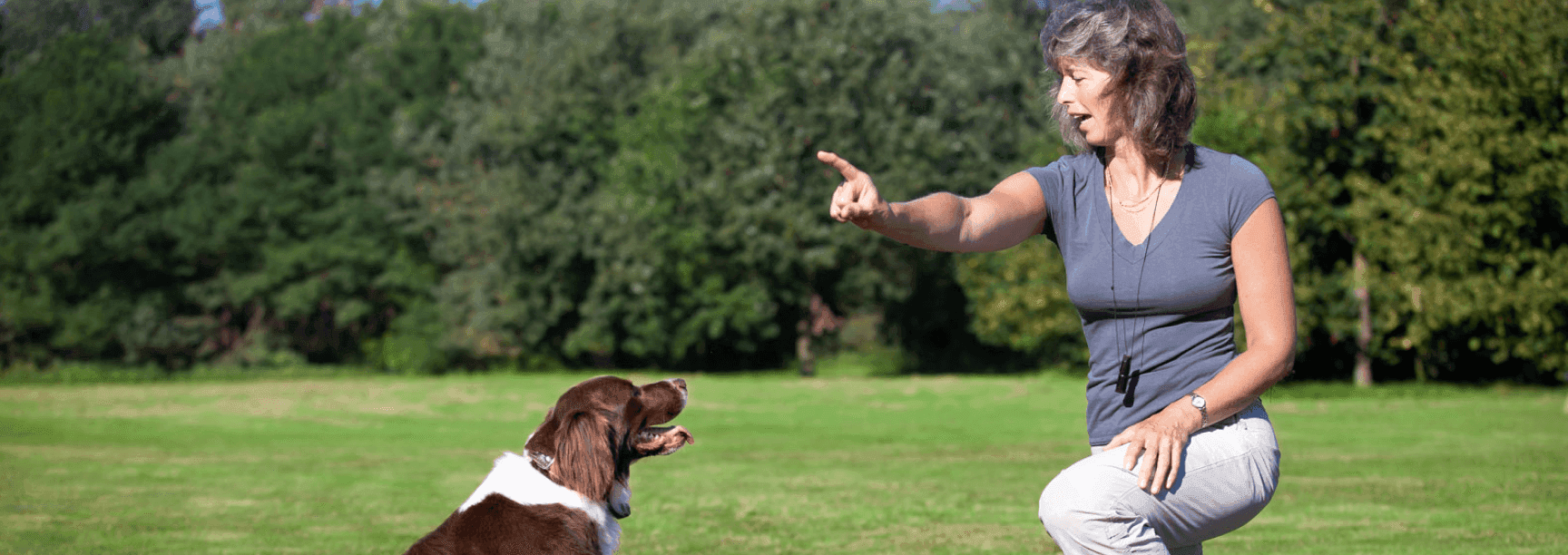 Obedience Lessons for Dogs That Improve Behavior